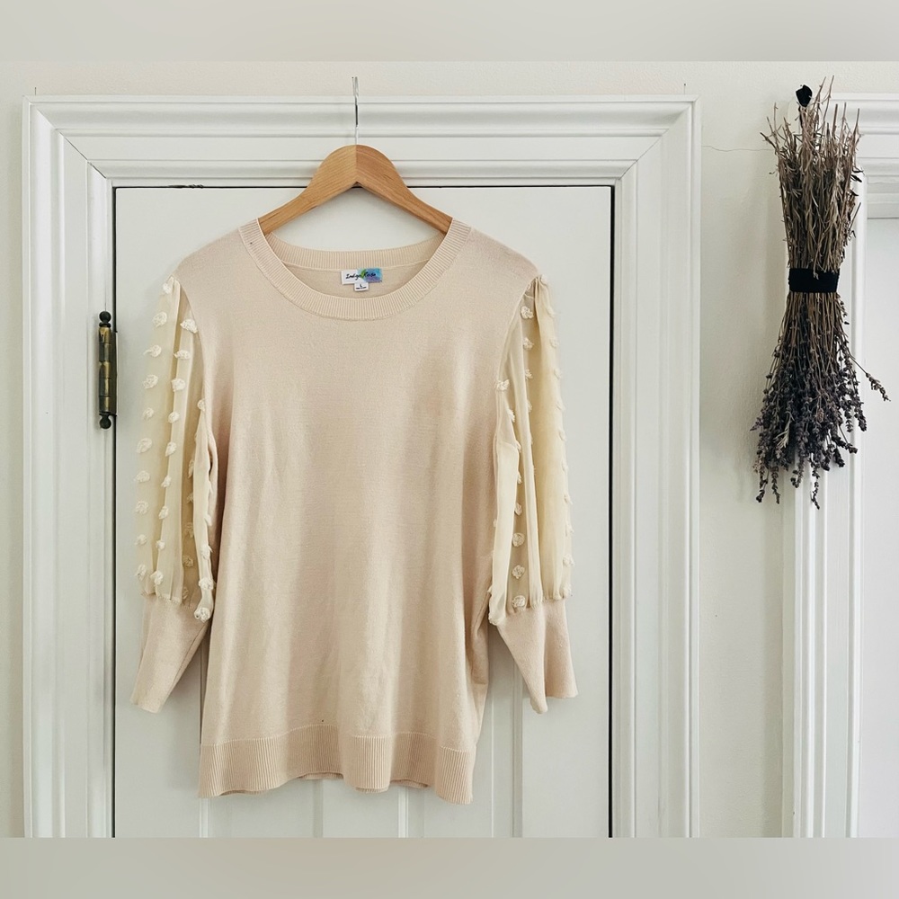 Indigo Rose Cream Sheer Sleeve Blouse